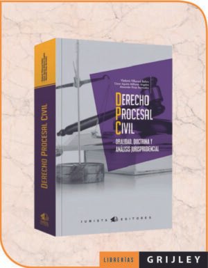 Derecho Procesal Civil Oralidad, Doctrina y Análisis Jurisprudencial